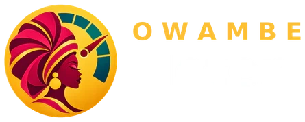 Owambe Meter